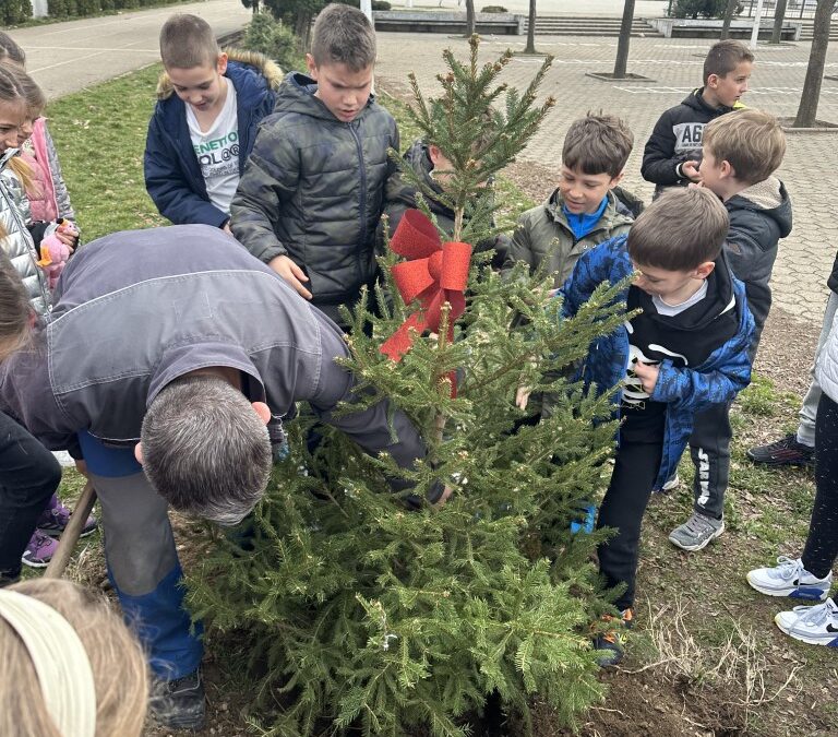 Акција одељења 2/2 – садња јелке у школском дворишту